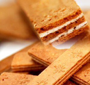 y5w1܂zXC[c 󂠂 v~AzCg`RTho[ ǂ1kg(100{) yԕiLZsz lC ĉ q`R[gTh XC[c َq 2ő