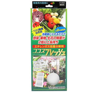 Ɩp@؂̑Nxێ@RRXtbVyyVqɒhz