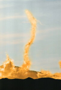 Ղ̎ʐ^ H  ysizy15-20cƓOŏoׁzCeAʐ^ K  P Ղ̈ꖇ