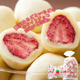 酸味と甘味が絶妙なコラボレーション 夢の大人買い まるごといちごのホワイトチョコどっさり 250g【楽天倉庫直送】フリーズドライ イチゴ ホワイトチョコ 丸ごといちご バレンタイン ホワイトデー