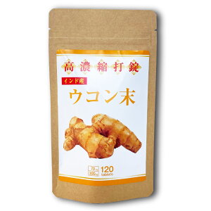 y5w1܂zyyVqɒzZkŏ ER 120