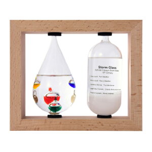 Fun Science t@ TCGX xvXg[OX 333-272ysiz TCGXG CeA NX}Xv[gɂ Ϗܗp I[ig