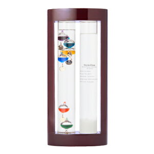 Fun Science t@ TCGX xvXg[OX 333-279ysiz TCGXG CeA NX}Xv[gɂ Ϗܗp I[ig