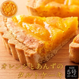 【直送品】【ネコポス出荷（ゆうメールではない）】甘酸っぱい味わいと香ばしいタルト生地が絶妙!!オレンジとあんずのタルトケーキ 5号 【ヘルシ価格】 スイーツ タルト フルーツケーキ オレンジ あんずジャム