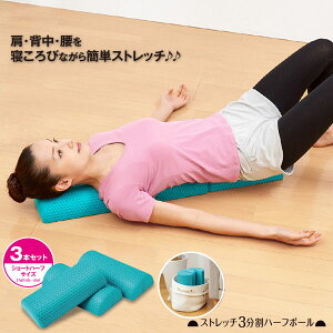 ストレッチポール 腰 その他の健康グッズの人気商品 通販 価格比較 価格 Com
