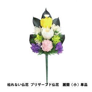 枯れない仏花 プリザーブド仏花 麗蘭(小)単品【楽天倉庫直送h】 仏具 造花 水やり不要 プリザーブドフラワー 消臭 抗菌
