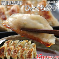 【4個セット（合計180コ 45コ×4）】パリパリでジューシー!!箸が止まらない!!鹿児島黒豚ひとくち餃子45コ…