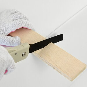 2nz[iCt karunoco JmR A-77980yyVqɒzywViz ̂ mRM  eS~Jbg \iCt