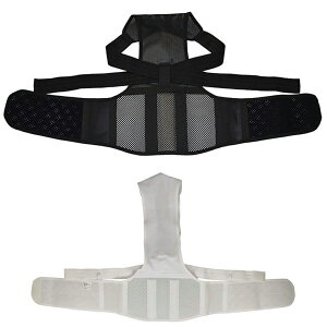 ՃOCbƔwSCxg ubN zCgywViz T|[^[  w  p 