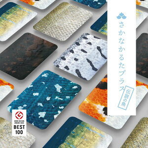 Ȃ邽vX `̋ 6gyyVqɒhzywViz Ȃ邽 Kbg{ 邽 J[hQ[ CŗVׂ 낱 t a v[g q  