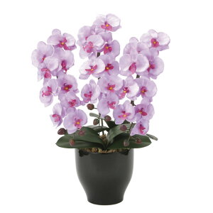 労Ӊi G}ӒZ[XL 3a1002-100 iBsEsEԕiLZEs A[gt[ ԁi摜킪ύX̏ꍇjyʓrꍇEb