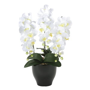 労Ӊi G}ӒZ[XW 3a1001-100 iBsEsEԕiLZEs A[gt[ ԁi摜킪ύX̏ꍇjyʓrꍇEb