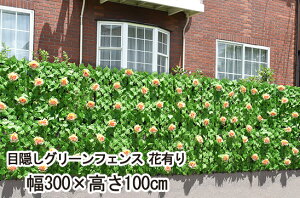 ډBO[tFX ԗL 300×100cm K14351yyVqɒzB GNXeA K[fjO VF[h C~e[V ΂̃J[e `ꂽȂ