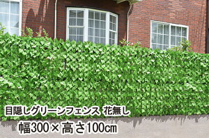 ډBO[tFX Ԗ 300×100cm K14351yyVqɒzB GNXeA K[fjO VF[h C~e[V ΂̃J[e `ꂽȂ