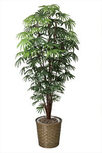 G} ̊y V`N 1.8m 501c500 iBsEsEԕiLZEs A[gt[ CeA v[g Mtg 蕨 G} ̊y V`N1.8 501a40