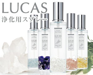 NX^n[uEH[^[Xv[ LUCAS JX 100ml VRΓ{gysiz5ނ̍ 򉻃Xv[ ANZT[AVR΂̐p Xv[{g