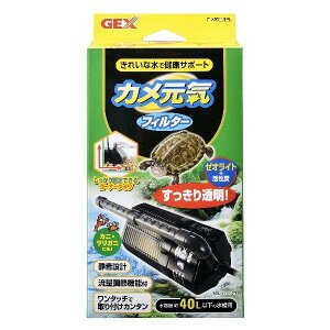 カメ 水槽 フィルター 爬虫類 両生類用飼育アクセサリーの人気商品 通販 価格比較 価格 Com