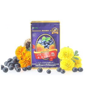 y2Zbgzy@\\Hizy労Ӊizu[x[eC 31yJANȂz