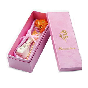 y5w1܂zK^ԉ̃oywVi z{̋ŏoo ԕrt 