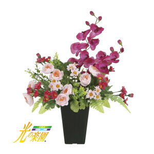 yzA[gNGCV ̊y G}lHA j[R[_ 2288A50-90 CeA lHϗtA A[gt[ Mtg 蕨 