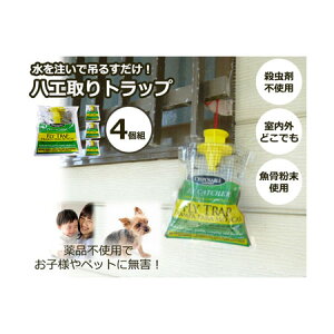 y5w1܂znGgbv 4RgywViz𒍂Œ݂邷 E܂gȂꏊ