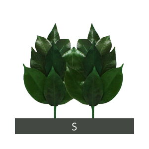 【2個セット】A&K プリザーブド榊 Sサイズ:FS-002S 1対 x 2【ヘルシ価格】プリザーブド加工 丹波産の天然椿葉を使用 仏壇 仏具 さかき