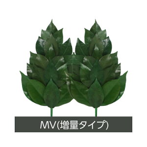 �y2�Z�b�g�zA��K �v���U�[�u�h�� MV�T�C�Y�FFS-011ML 1�� x 2�y�w���V���i�z�v���U�[�u�h���H �O�g�Y�̓V�R�֗t���g�p ���d ���� ������