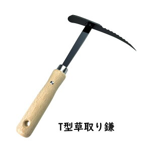 㓡 T^芙y11{oׁzywViz˂h ~  | K[fjO