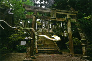 Hǎ Ղ̎ʐ^ ̓()ywVizՂ̎ʐ^V[Y H Ri 摜 A[g ʐ^ J^F N