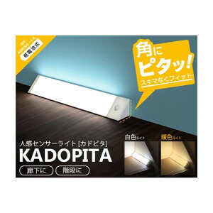 g[h pɂ͂܂ lZT[Cg Jhs^yyVqɒhzpɂ͂܂ lZT[Cg Jhs^ L̊pɃs^bƐݒu lɔăsJbƓ_