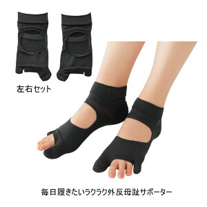 y[ցzC_C NNOT|[^[ EZbg ubN S-M/M-LyyVqɒzNNOT|[^[ ew̌`󂪊OĂ NO