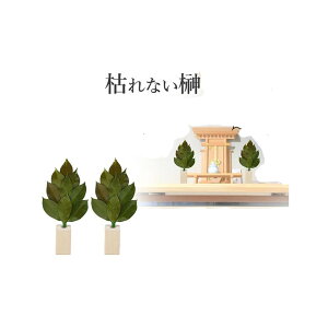 AK G[AhPC Y ͂ȂvU[uh 嗧ĕt ST-002ywVizY ͂ȂvU[uh 嗧ĕt sv 3NȏԂL[v 