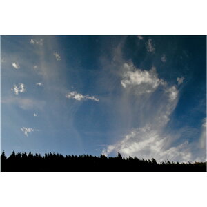 H Ղ̎ʐ^ ywVizH Ղ̎ʐ^  ≖ʐ^ A[g pi