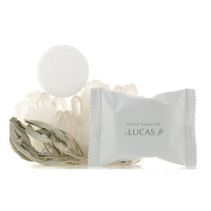 A[VXg LUCAS n[oEGv\\g 10RywVizLUCAS n[oEGv\\g pϗ  Mtg v[g