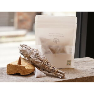 ylR|X̂݁zLUCAS pTgGNXgEzCgZ[W CZX 10ysizq[O 򉻗p̂ ґz }ChtlX K