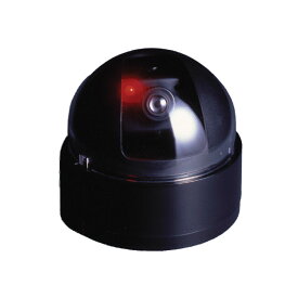 楽天市場 車 ダミーカメラの通販