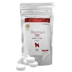 O[~O^u 10 @@DOG@dY_CIPA܁@G݁@dY_ybgpO[~O^u