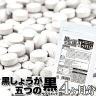 【即納】【ネコポスのみ】メガ盛り黒しょうが＆5つの黒サプリ約4ヵ月分 240粒入【完売後、納期確認】
