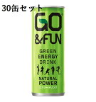 【楽天倉庫365日出荷　直送品】【あす楽対応】【30個セット】GO＆FUN GREEN ENERGY DRINK ゴーアンドファン グリーンエナジードリンク 250mL x 30【ヘルシ価格】微炭酸飲料 ガラナ マテ茶 緑茶 高麗人参 ロディオラ 健康飲料