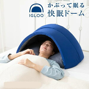ԂĐQ܂CO[IGLOO 2.0yyVqɒhzywViz   h[^܂ h[ z 