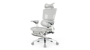 �y�����i�zRasical Chair Elite ���W�J�� �`�F�A �G���[�g �z���C�g�O���[�y�k�C�����ꗣ���s�z�y�w���V���i�z �֎q �Q�[�~���O�`�F�A �t�b�g���X�g ���[�L���O�`�F�A �t�����b�V�� �p�\�R��