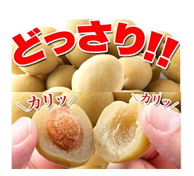 【即納】国産梅100％使用。無着色お徳用大粒カリカリ梅500g【同梱不可】【楽天倉庫365日出荷　直送】 (割引不可)