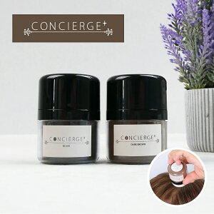 y5w1܂zy労Ӊi z||t@f 13g ubN/_[NuE