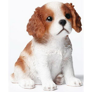 yyVqɒizy労ӉizhbOI[ig `[YEXpjG 14073