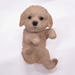 yyVqɒizywVizhbOI[ig v[h 14203