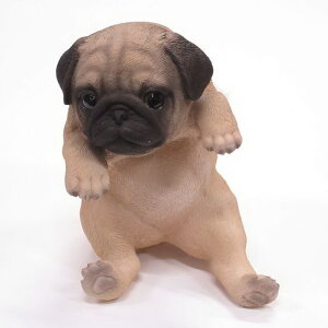 yyVqɒizy労ӉizhbOI[ig pO 14209