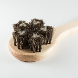 y労Ӊi znт̃{fBuVE A_