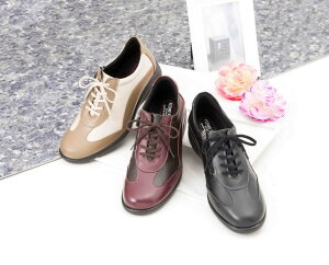 y[zy労Ӊi z炩Rrv5EKyʃRtH[gV[Y ubN/C×_[NuE/I[N×x[W K12253yԕisz5ECY ۏL H K y R