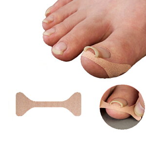 y[zylR|Xzy労ӉizNC܁[ 20 ZYPLUS4