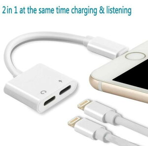 【楽天倉庫直送h】LTN_HNK_ADP iPhone Lightning変換アダプター